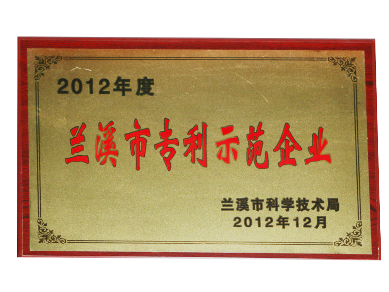 Lanxi Patent Demonstration Enterprise